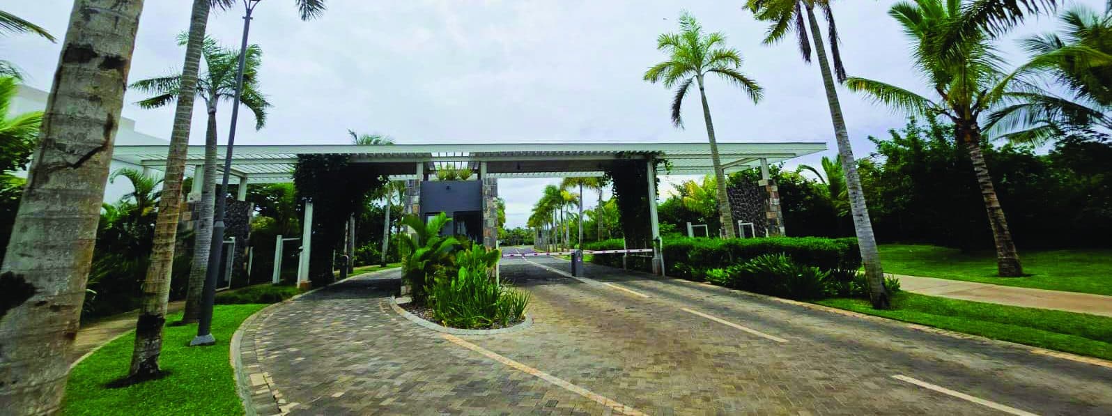 Road reserve planting