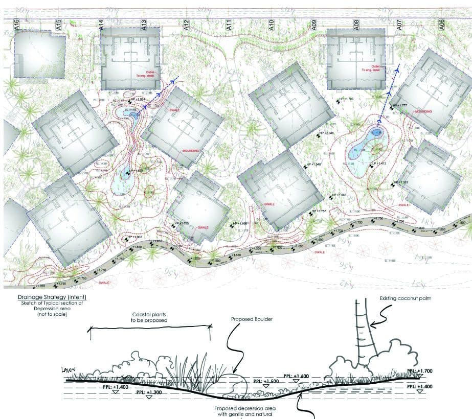 Coastal section drawing