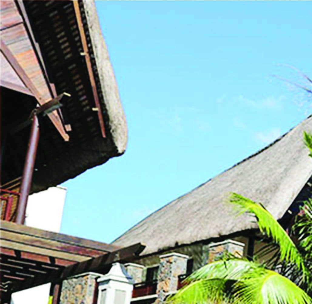 Stone and thatch structure set within tropical planting