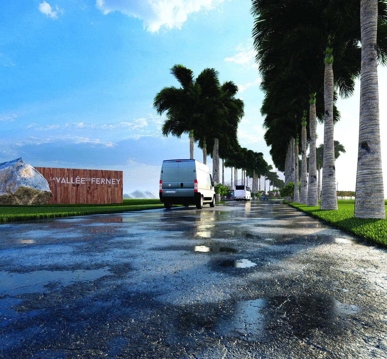Palm avenue on a wet road after rain