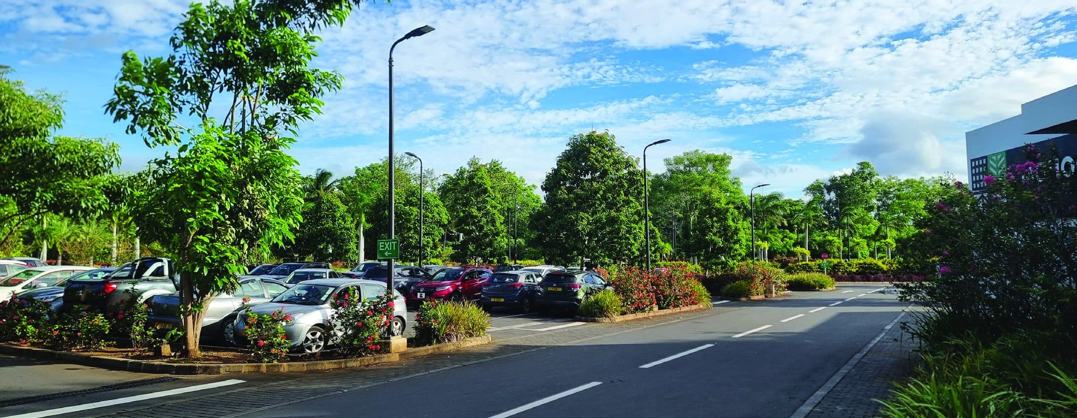 Streetscape with parking, planting and shaded walkways