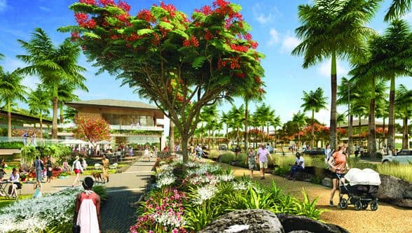 Promenade lined with flowering trees and palms