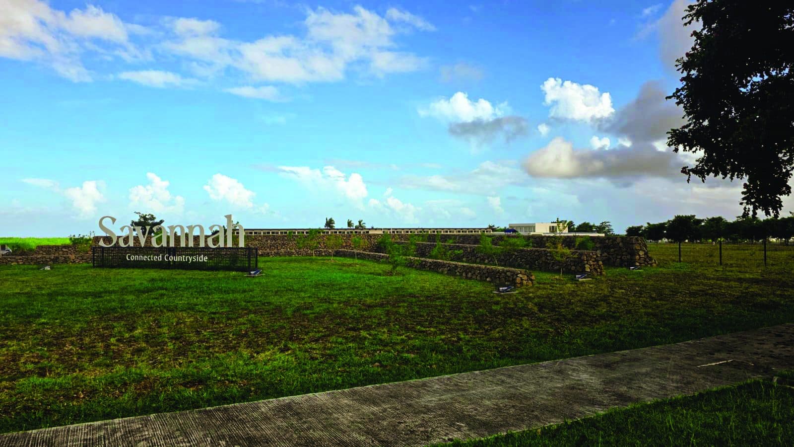 Open savannah landscape under a wide sky